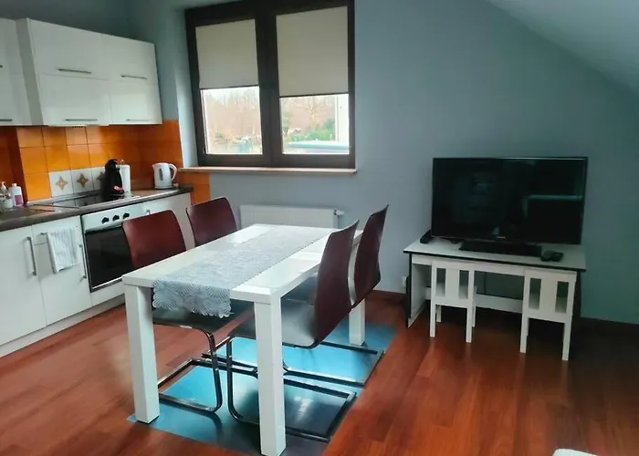 A Comfortable Apartment Midway Krakow-Oswiecim